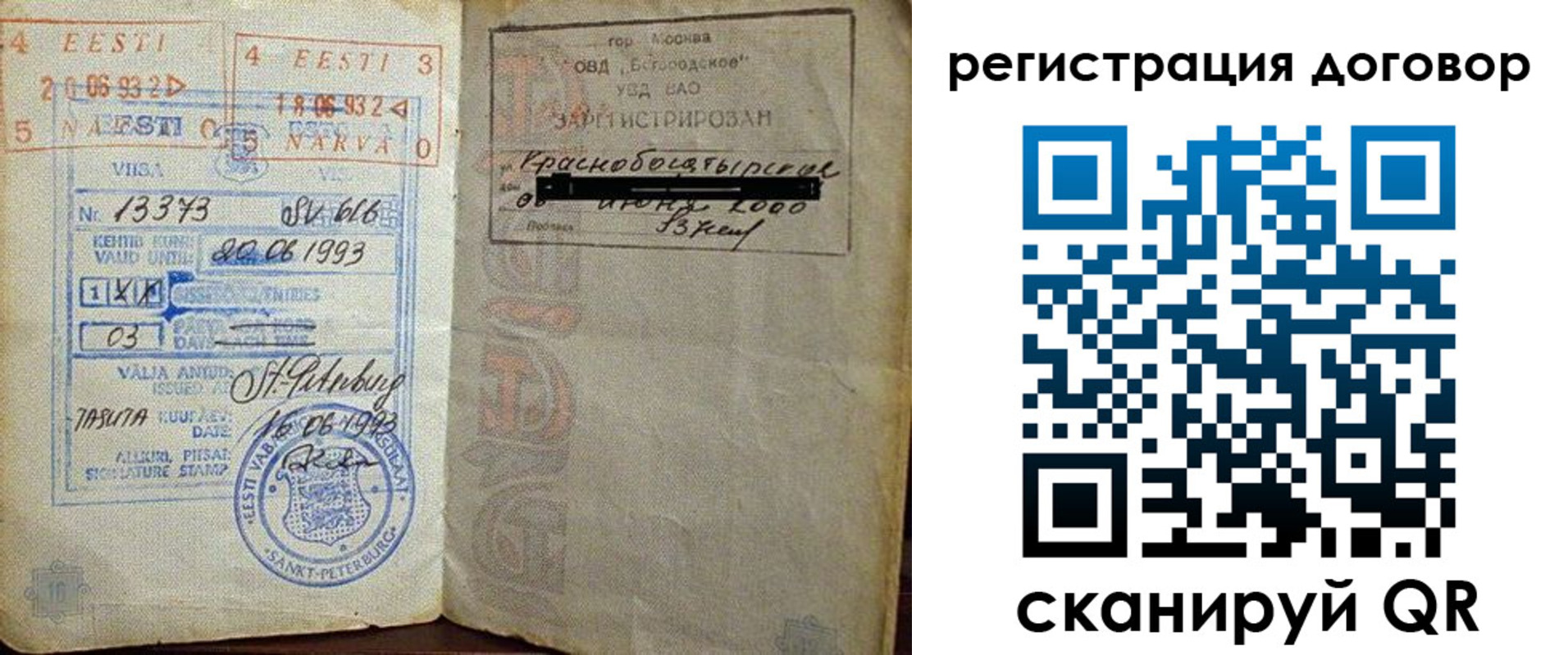 прописка в Ельне