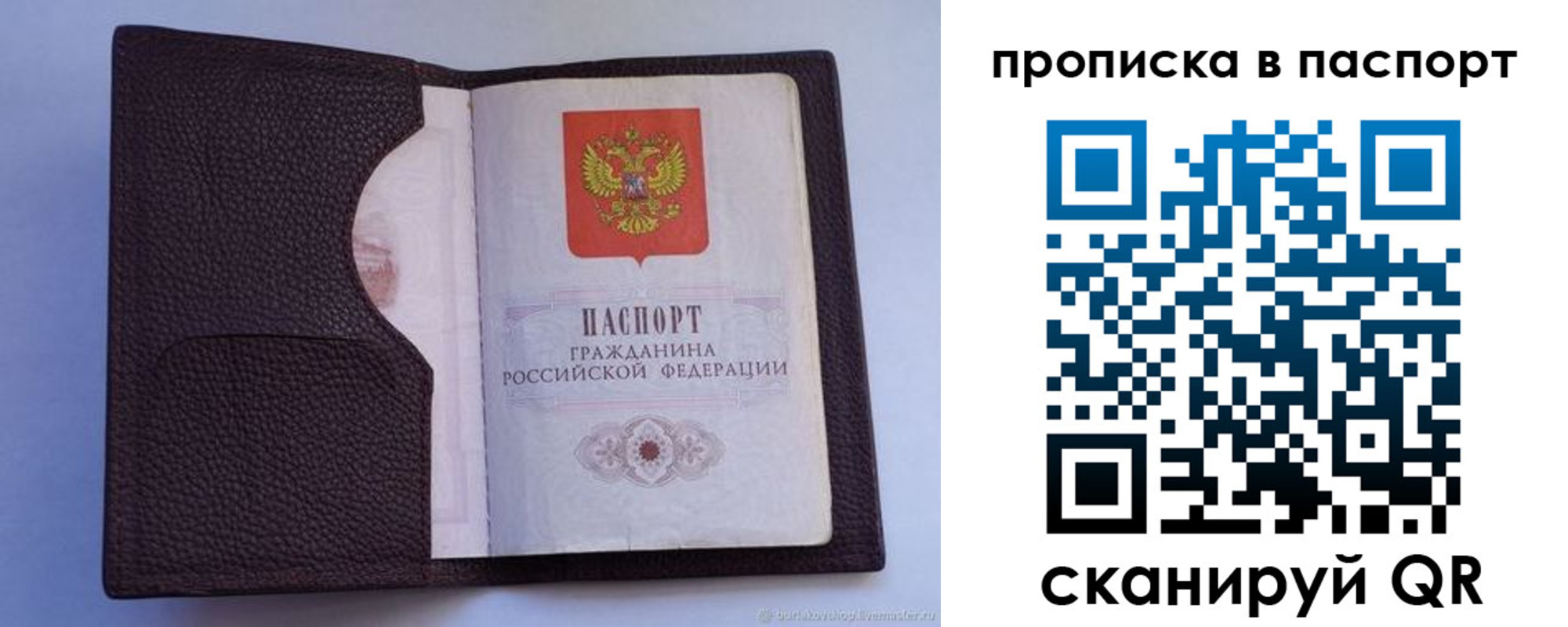 прописка законно в Ельне